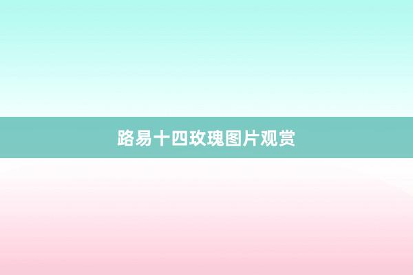路易十四玫瑰图片观赏