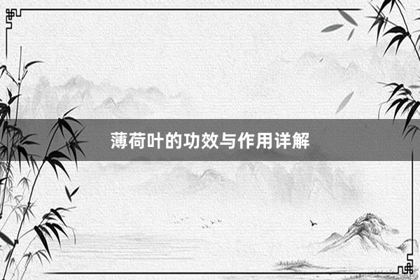 薄荷叶的功效与作用详解